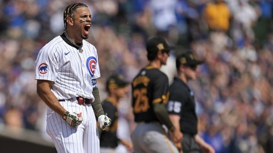 Dubious call at plate concludes Pirates' walkoff loss, wastes Falter effort taken in Chicago (Pirates)